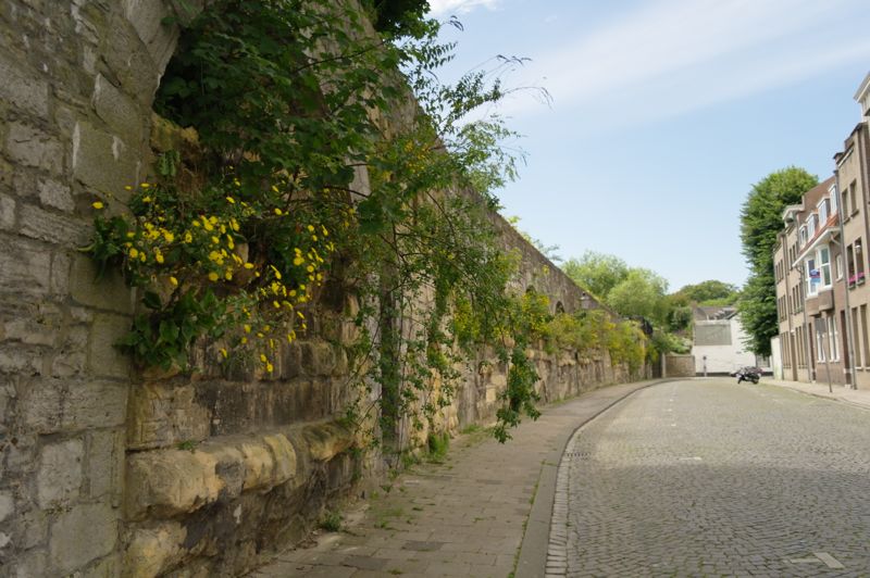 stadswal Nieuwenhofstraat